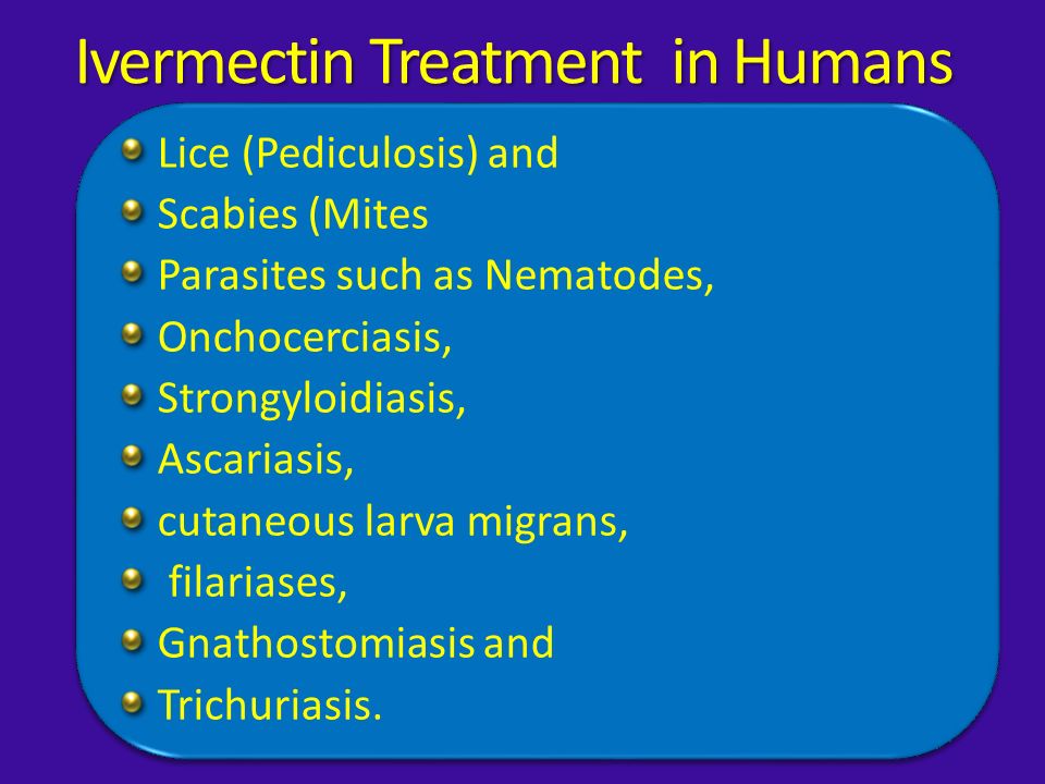 stromectol lice treatment